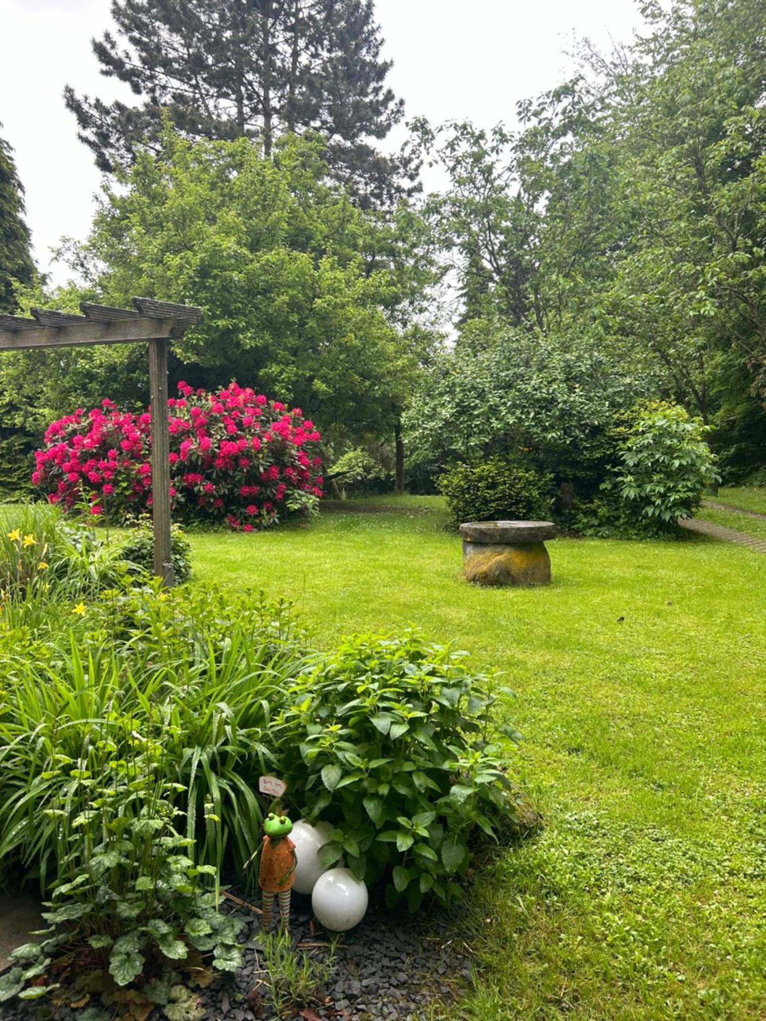 Ferienapartments Engeln Eifel Kempenich Esterno foto